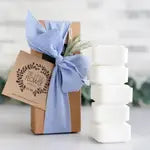 Shower Steamers Gift Set of 5 Menthol Gift